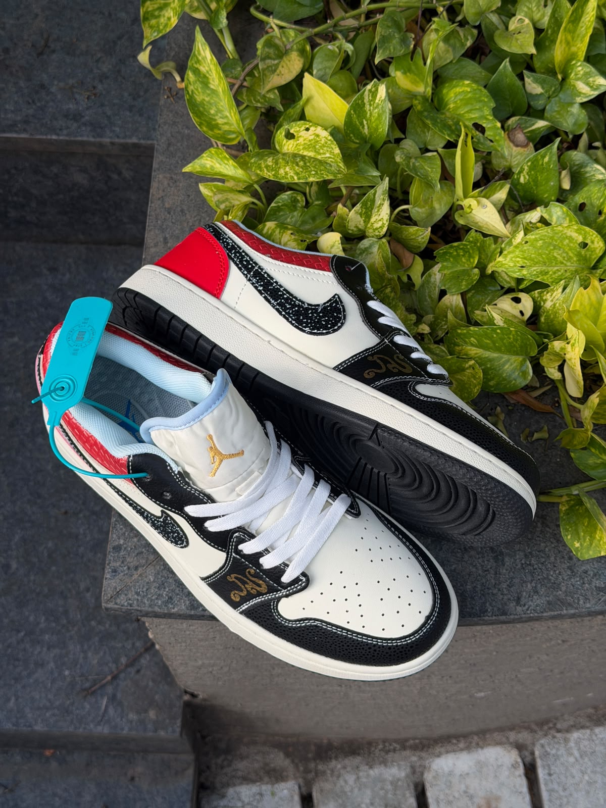 JORDAN LOW