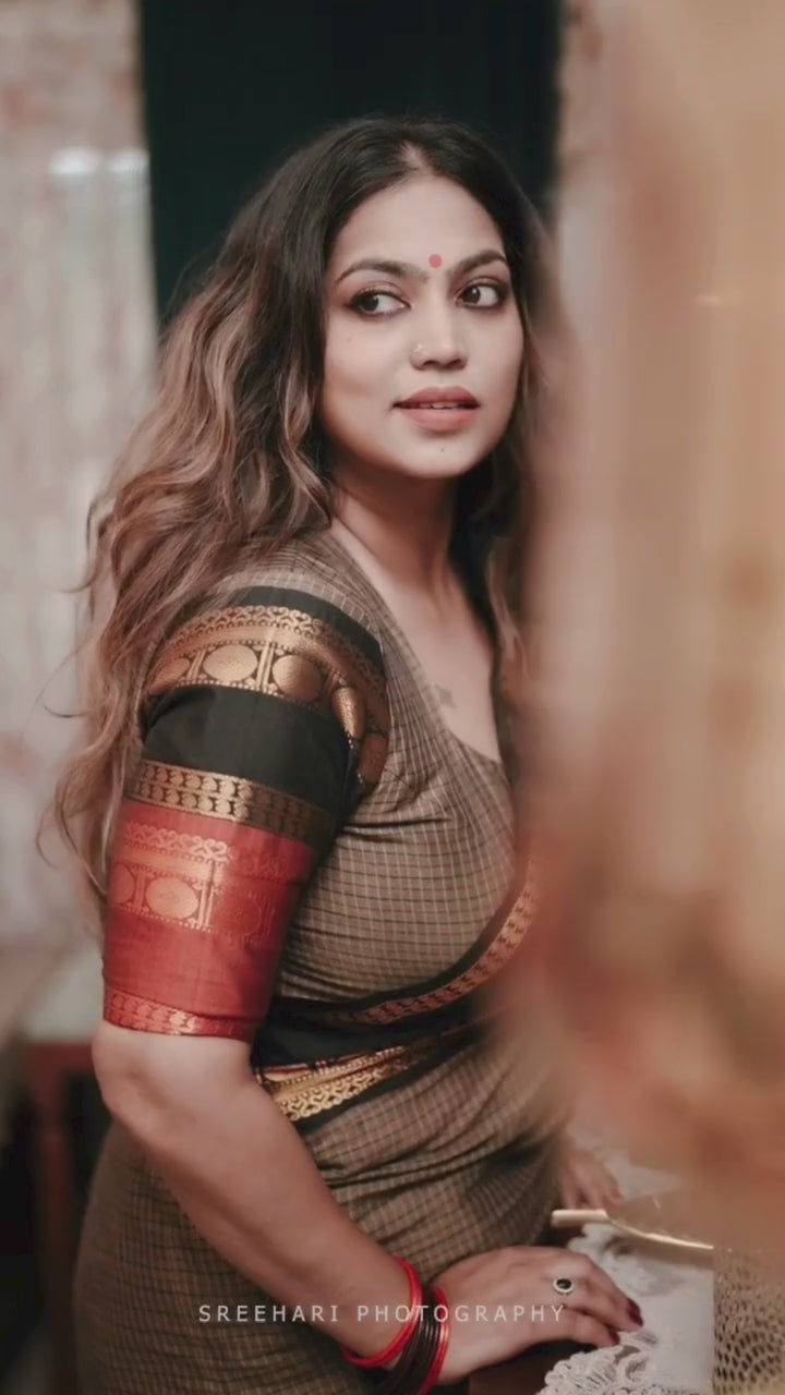 Ganga Jamuna border Jari Checks Chettinad cotton Saree
